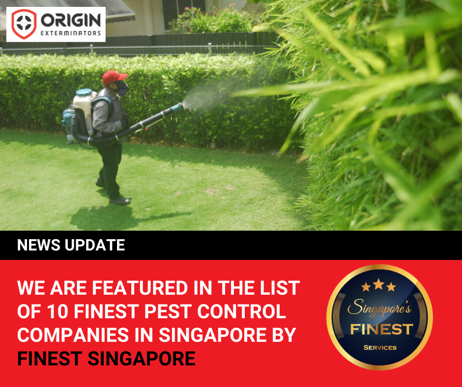 Pest Control Services Singapore gallery image
