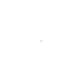 Download Organizer