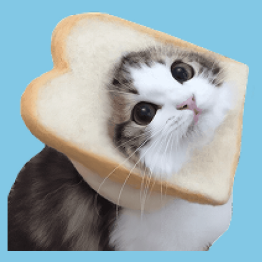 Cat Memory - Product Hunt launch logo and brand identity