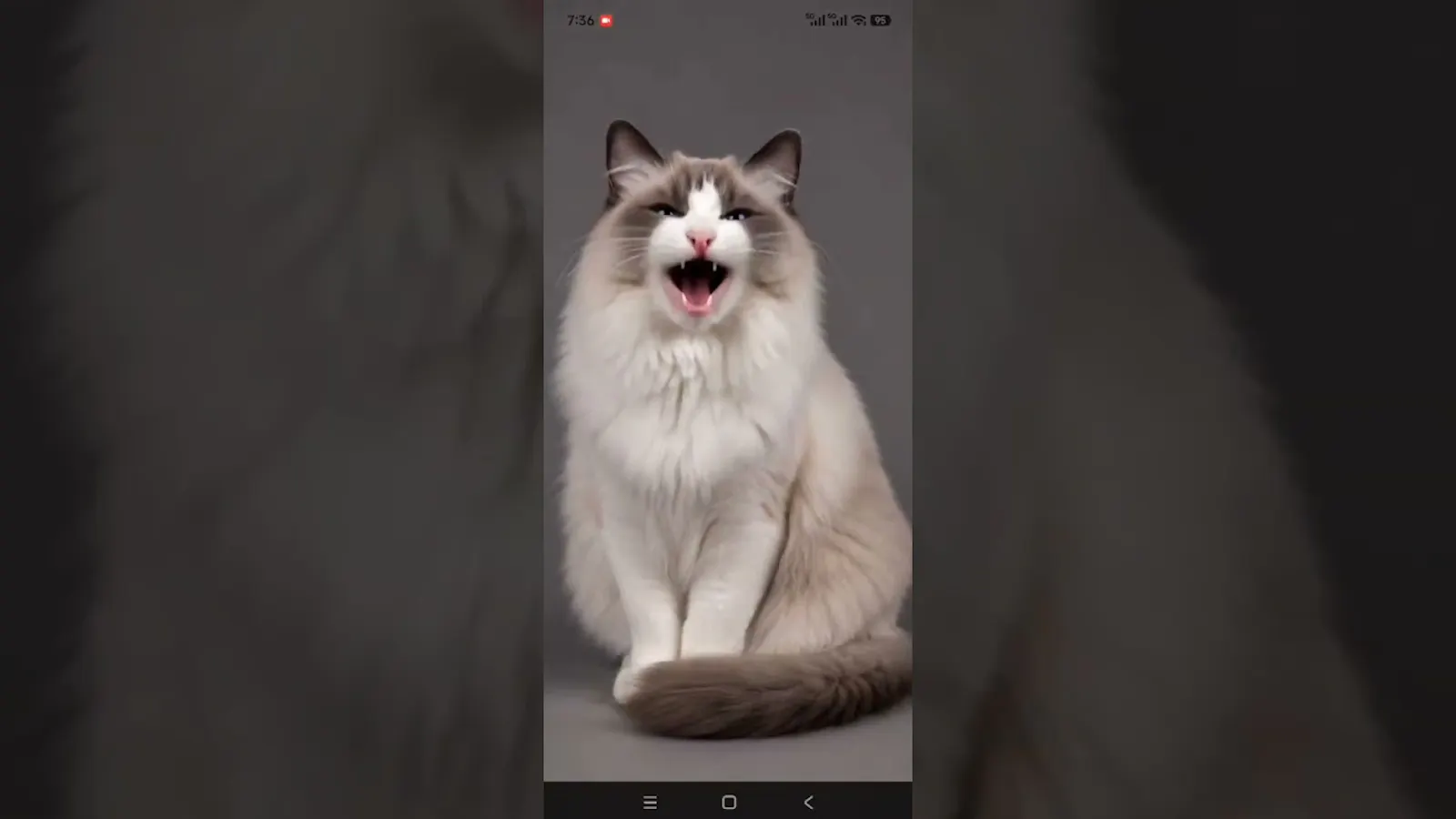 Petnori screenshot 1 (video preview)