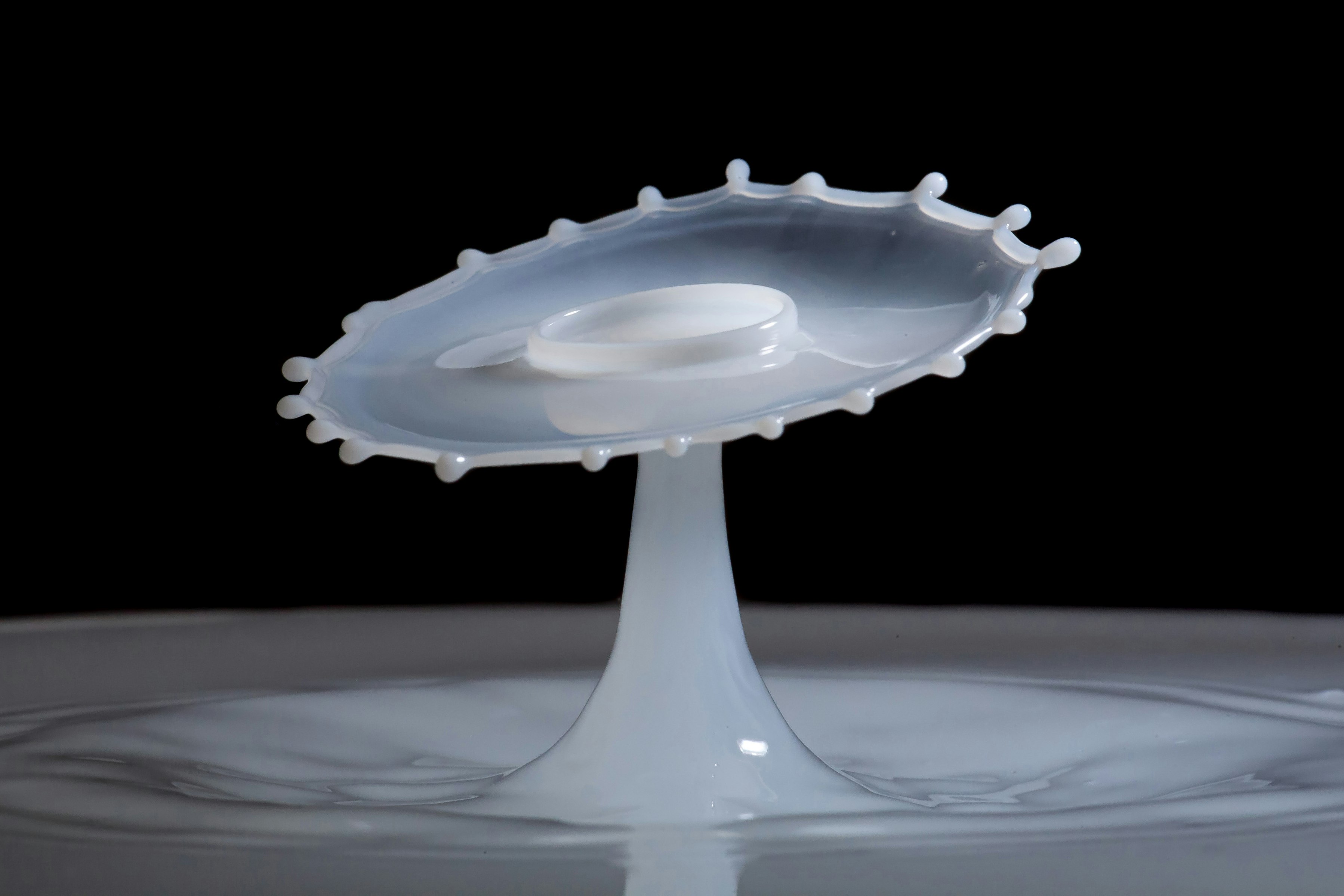 Adaptalux gallery image