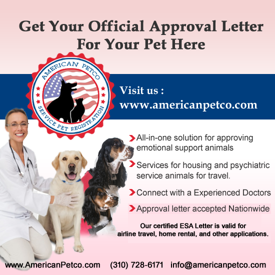 Media Petco Amerika 3