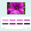 Palette Creator