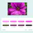 Palette Creator