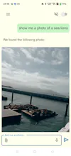 Vecy: On-device AI & LLM APP for RAG gallery image