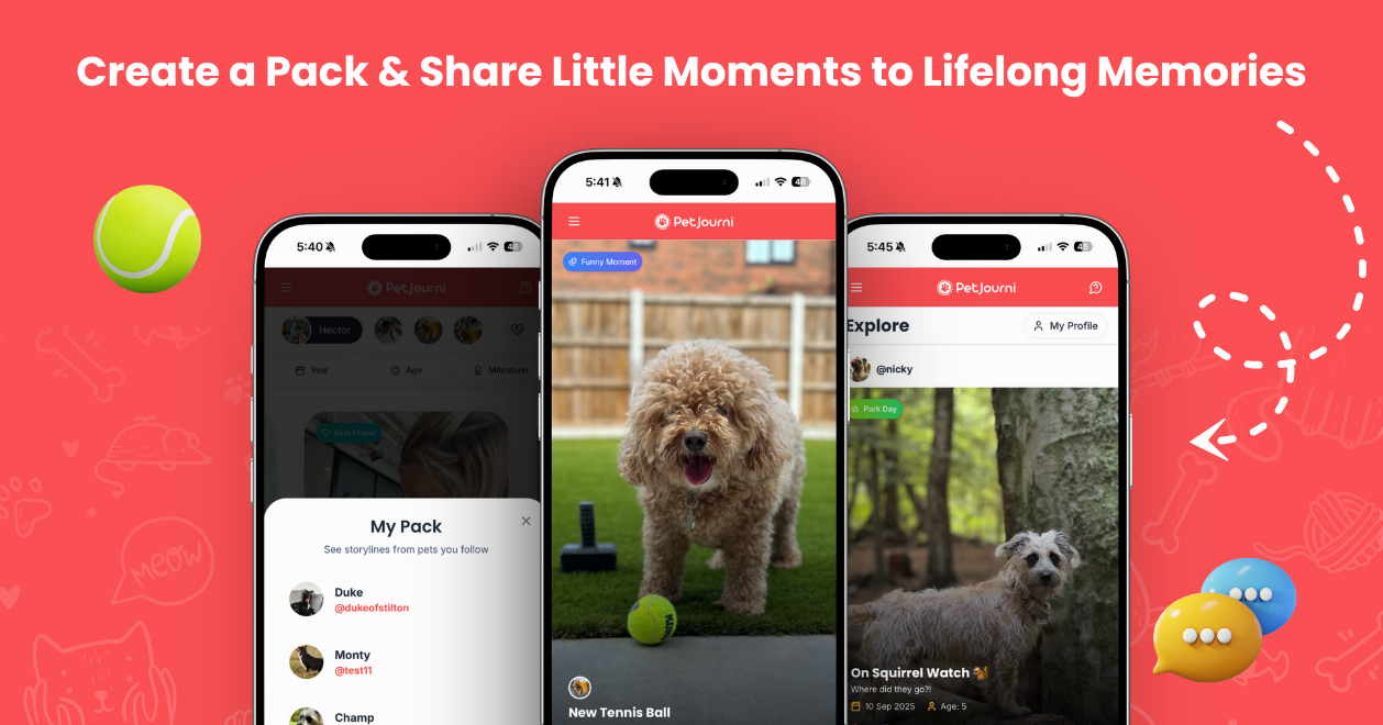 PetJourni gallery image