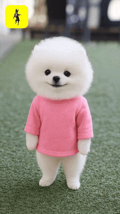 Dancing Dogs app - Turn dog pics into dancing dog videos via AI (hover icon 🤣) media 9