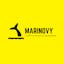 Marinovy | Crypto Whale Scanner