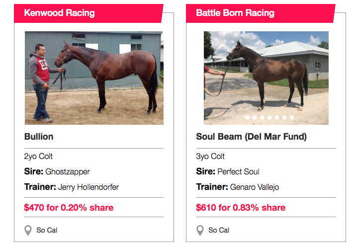 My Race Horse gallery image