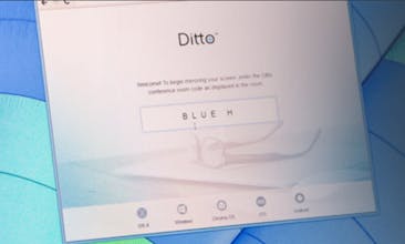 Ditto gallery image