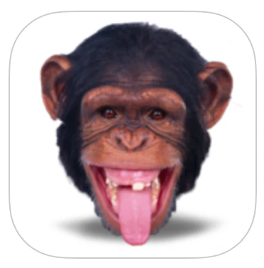 Animal Pack Stickers