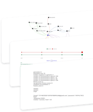 Firecracker gallery image