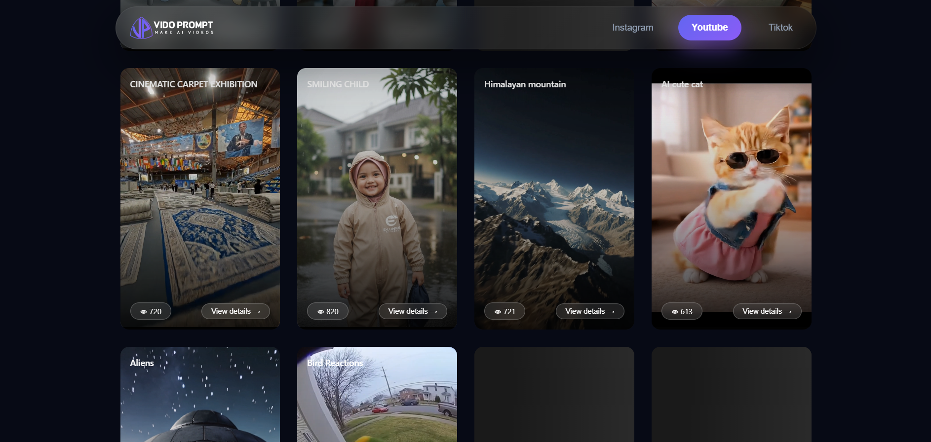 VidoPrompt gallery image