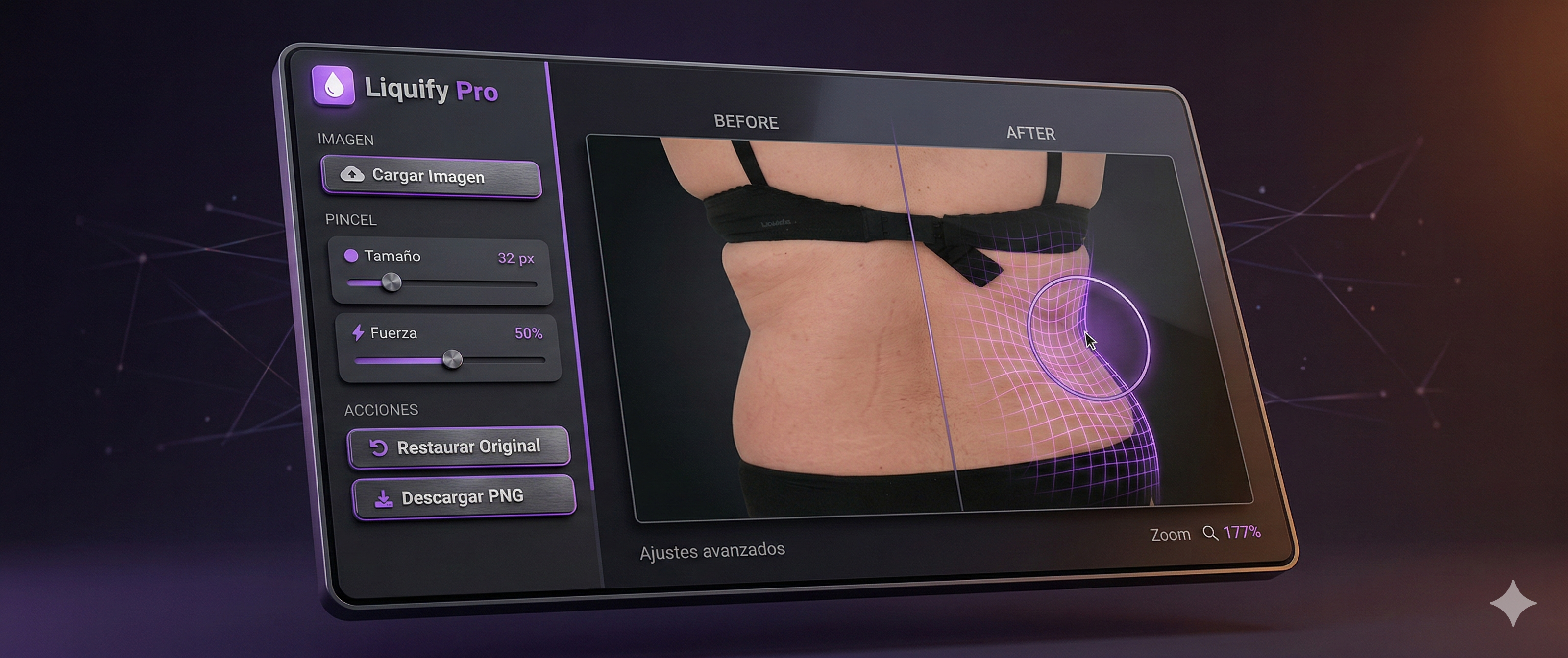 Liquify Web Pro gallery image