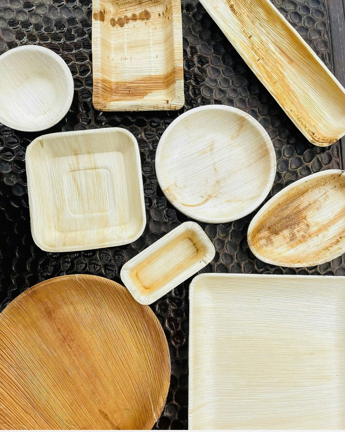 Kit de muestra de vajilla de hoja de palma DTOCS media 2