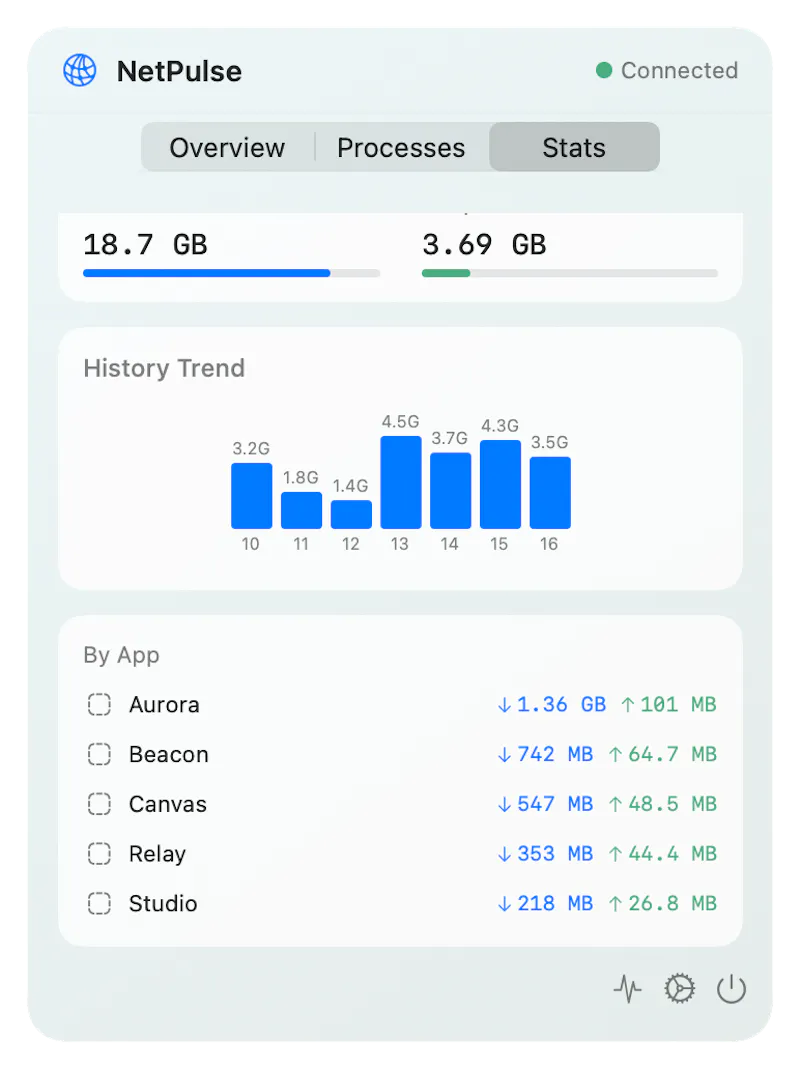NetPulse screenshot 3