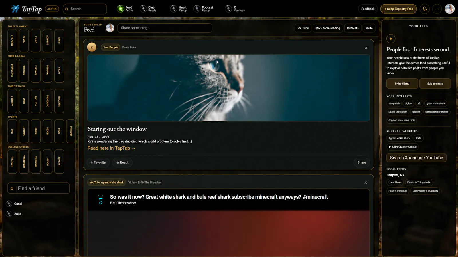 Welcome to Tapestry screenshot 1