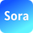 Sora OpenAI Video Samples And Guides