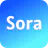 Sora OpenAI Video Samples And Guides