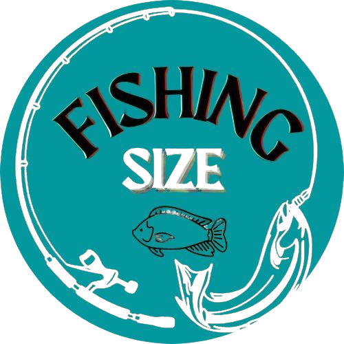 魚の凝固 - 魚の服装であなたの完璧なキャッチを発見してください！メディア1