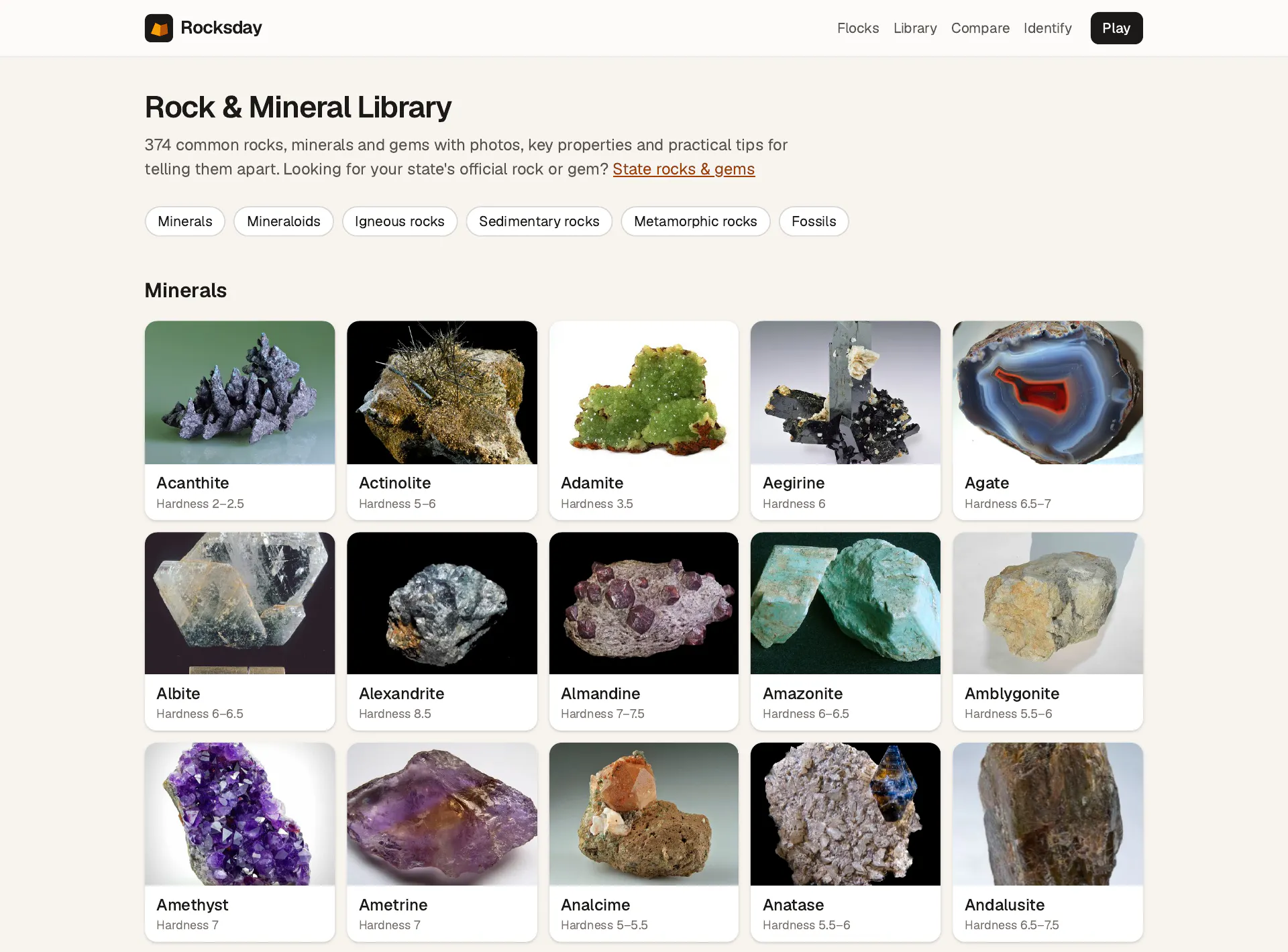 Rocksday gallery image