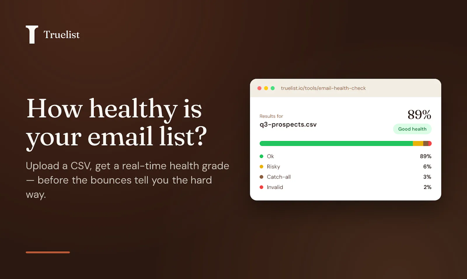 Email Health Check by Truelist screenshot 1