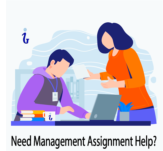 Management Assignment Writer