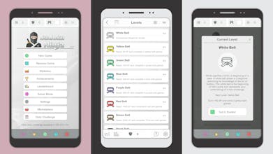 Sudoku Ninja - Rise of the Grandmaster gallery image