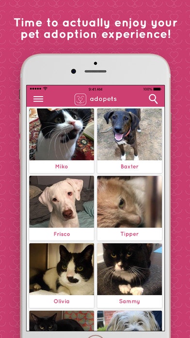 adopets gallery image