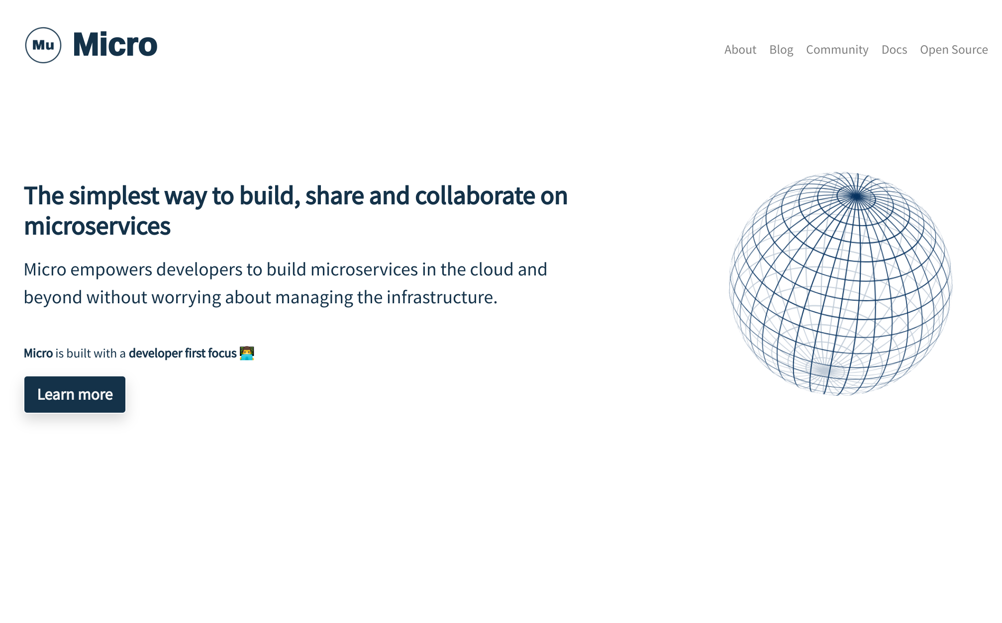 Go Micro gallery image