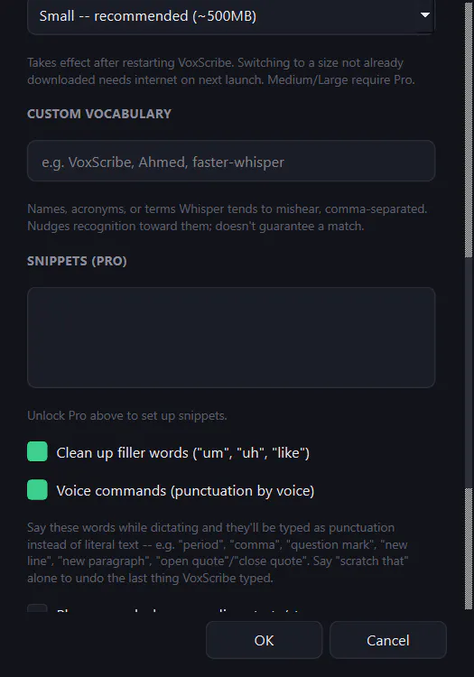 VoxScribe gallery image