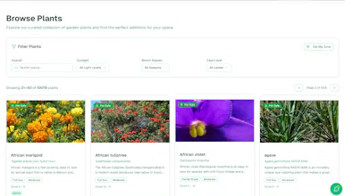 Fernly gallery image