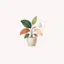 Plant Manager - Offline Care