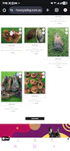 Howz Ya Dog Stuff gallery image
