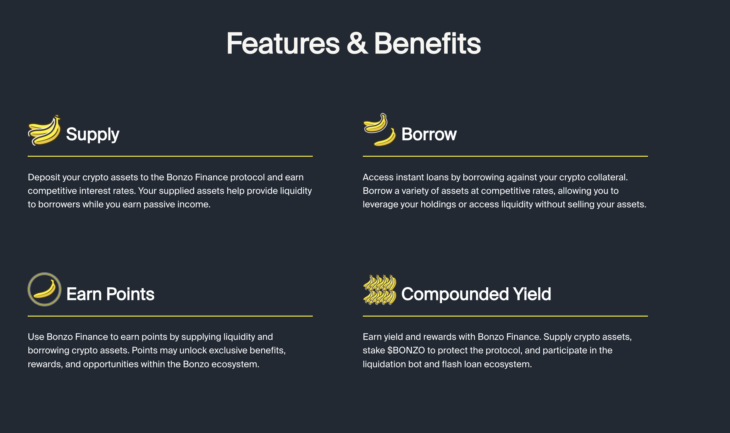 Bonzo Finance media 3