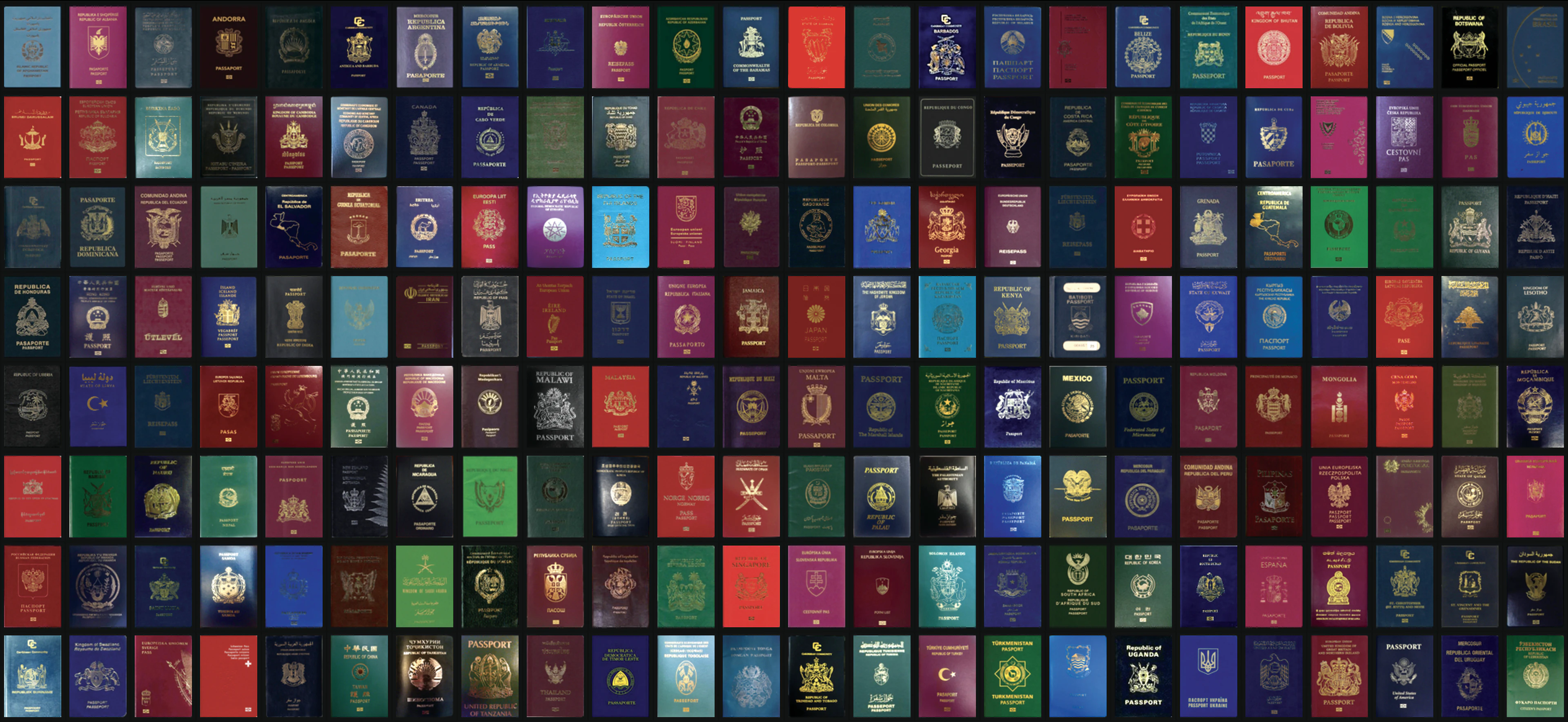 Passport Index cover