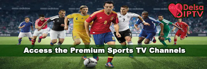 DelsaIPTV gallery image