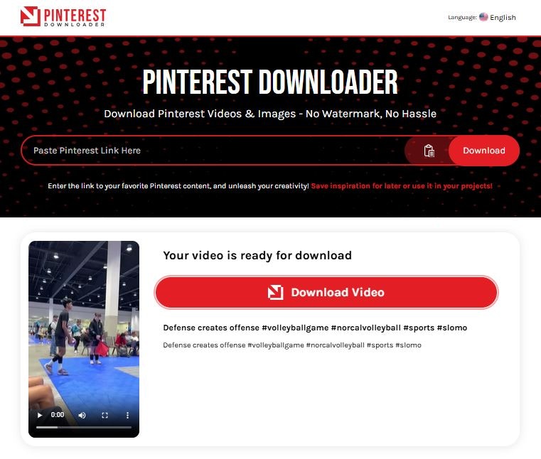 Toolly.in - Без особых усилий скачать видео, изображения и гифки Pinterest медиа 3