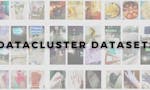 Data Cluster Labs image