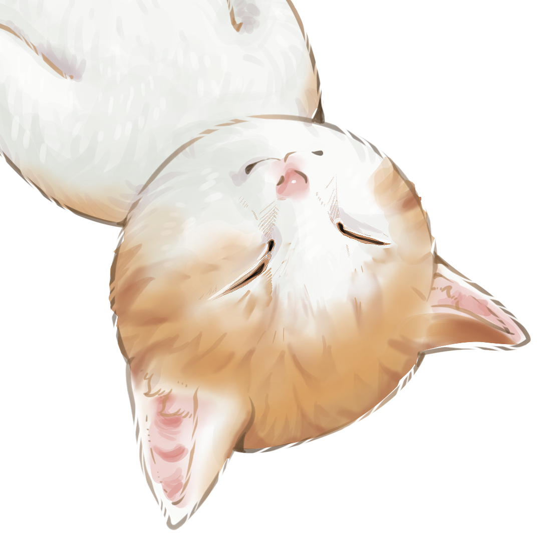 Tang Ping Cat - Memecoin Project