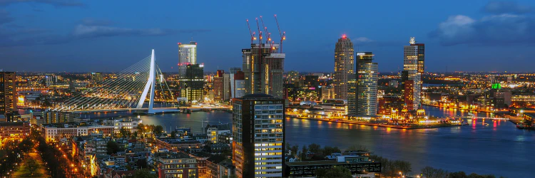 Alexander Holzmann cover