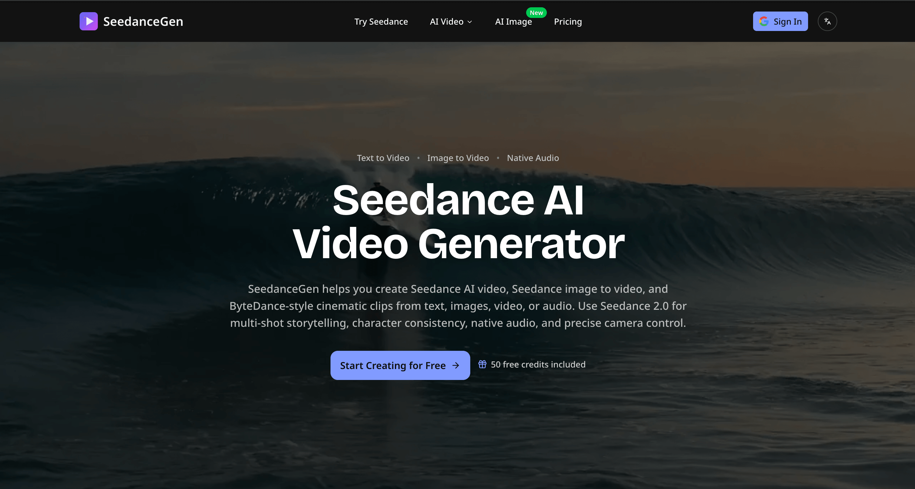 SeedanceGen AI gallery image