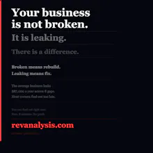 RevAnalysis Business Revenue Diagnostic gallery image