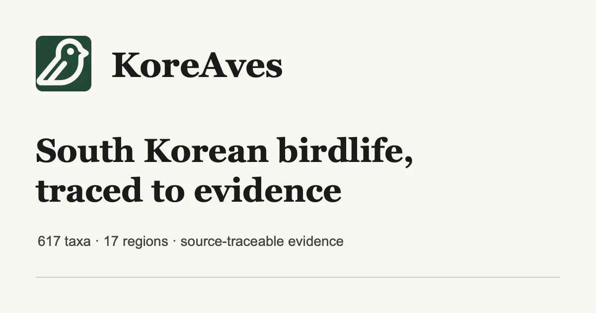KoreAves gallery image