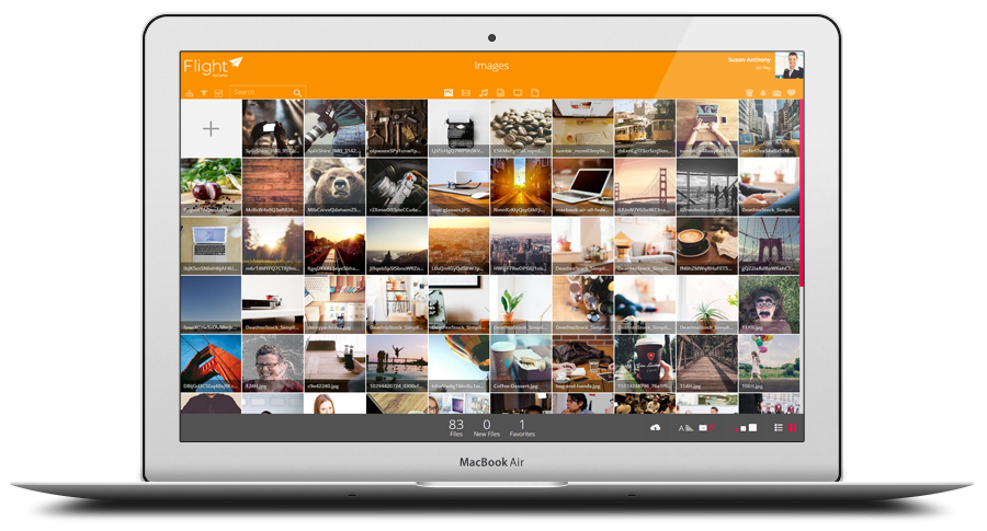 Flight by Canto gallery image