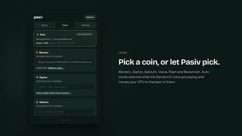 Pasiv screenshot 4