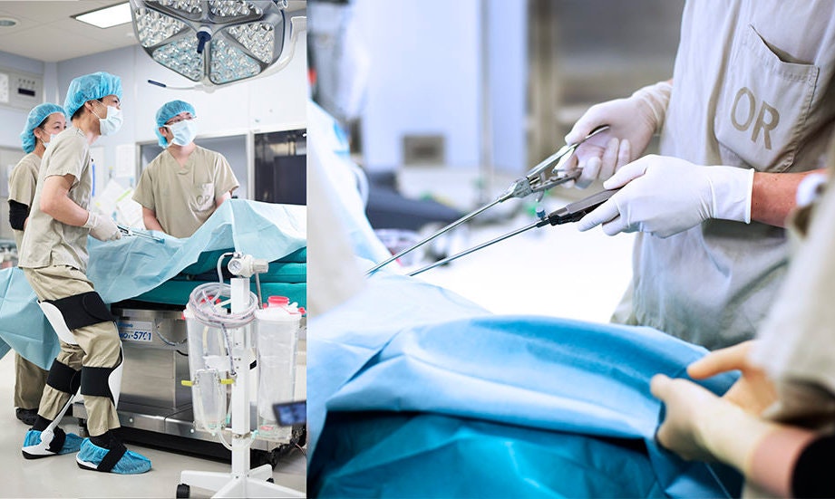 Archelis gallery image