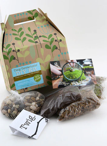 DIY Terrarium Kit
