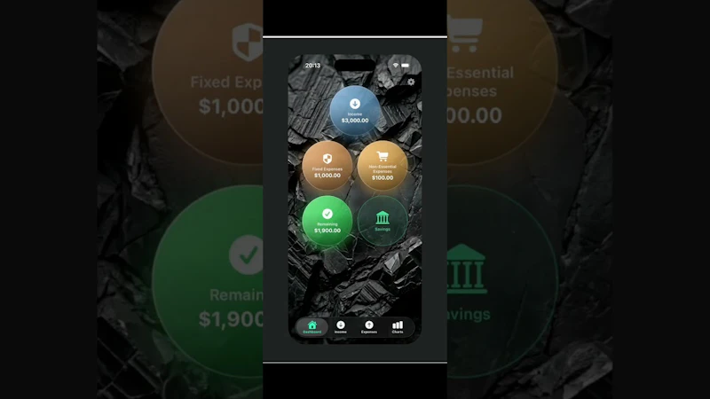 FinWall screenshot 1 (video preview)