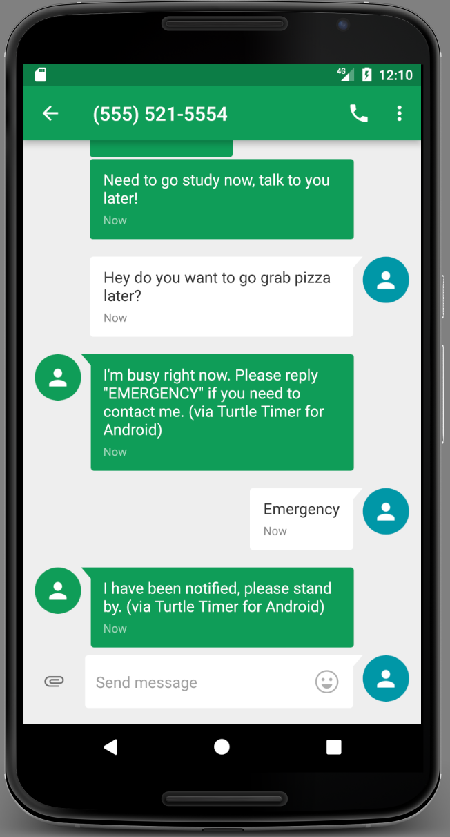 Turtle Timer gallery image